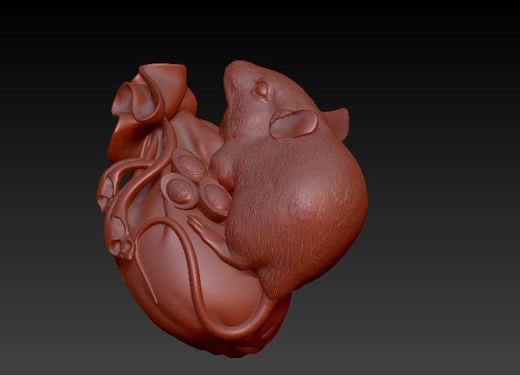 Mouse - Chuot 3D model_4