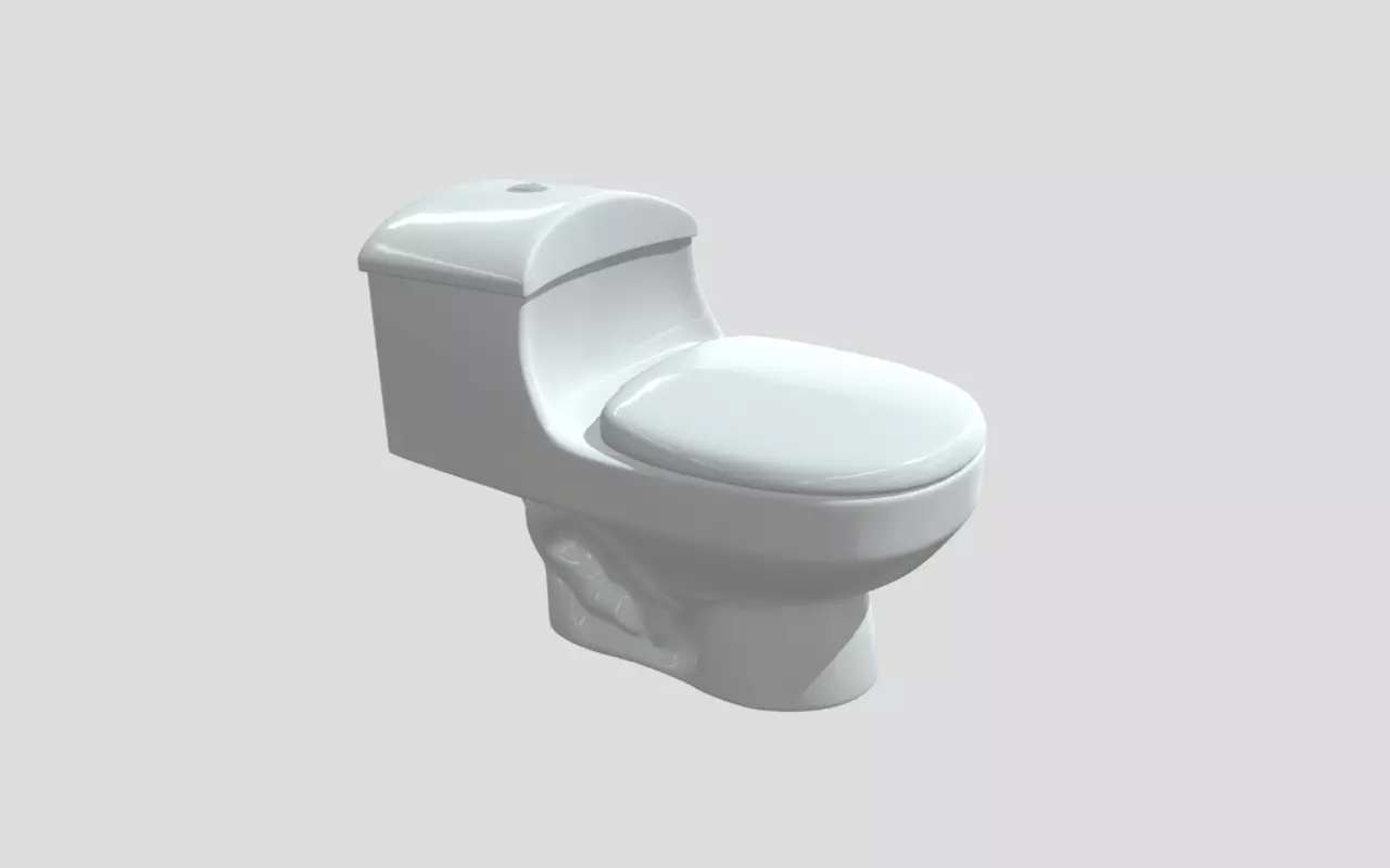 White Curve One Piece Toilet WC Low-poly 3D model_0