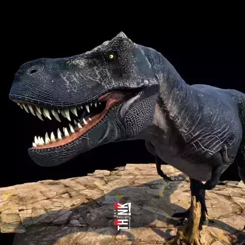 Tyrannosaurus T Rex