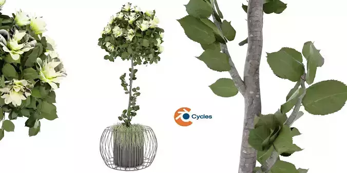 Collection plant vol 37 - blender model