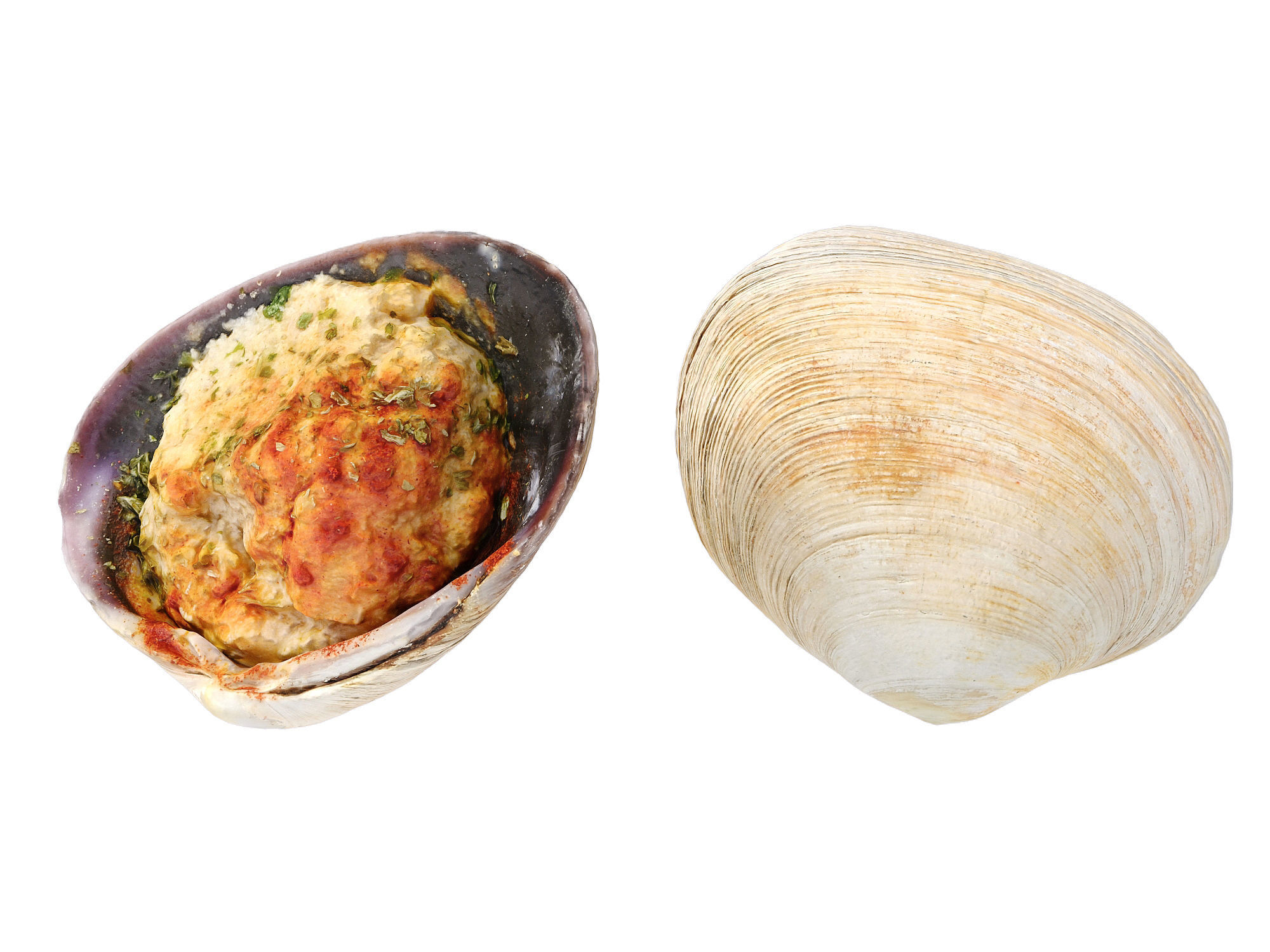 Stuffed Clams 3D model_8