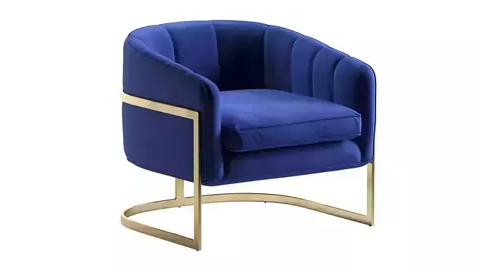 Carter Velvet Accent Chair