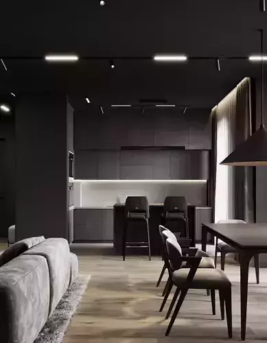 Livingroom and kitchen Interior design style minimalism 3D model