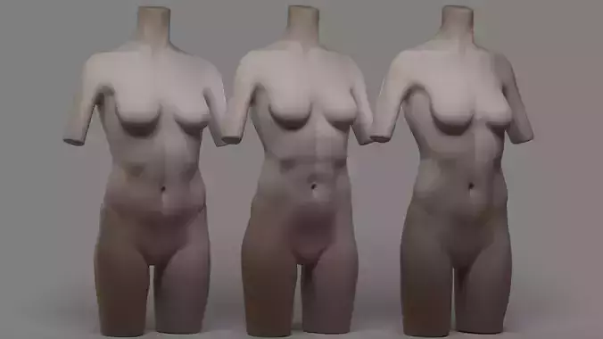 Torso Female