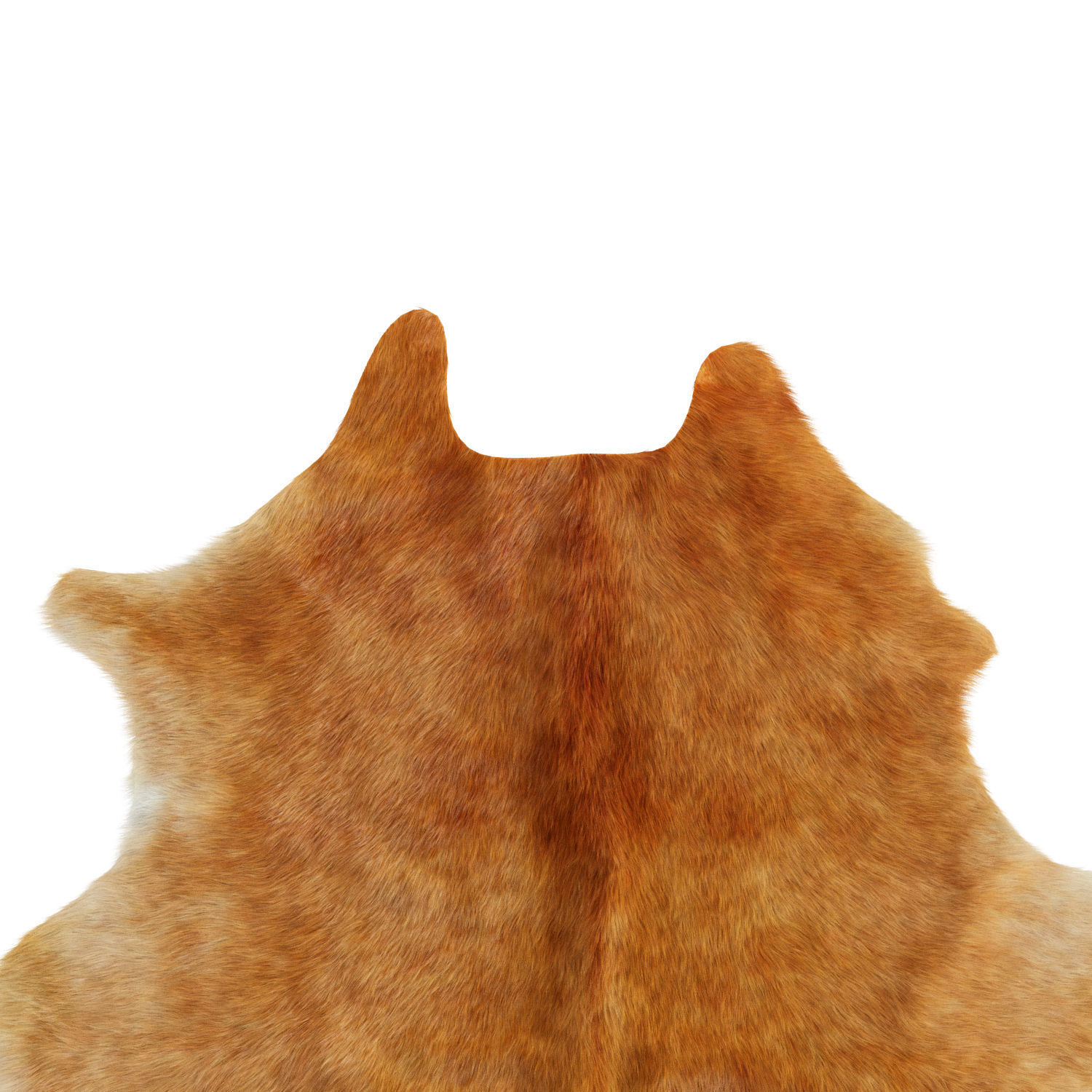 Cowhide light brown area rug 3D model_4