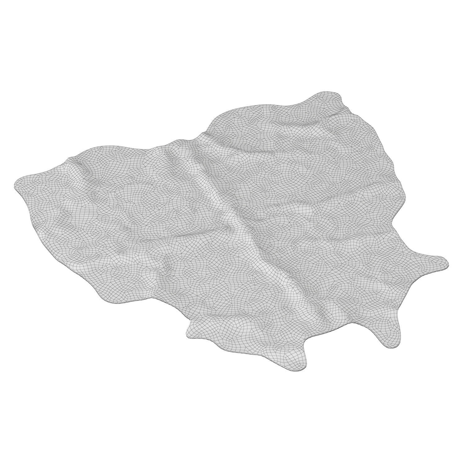 Cowhide light brown area rug 3D model_6