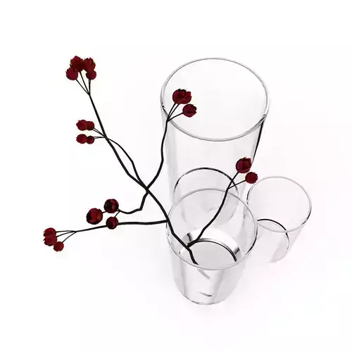 Flower in Vases