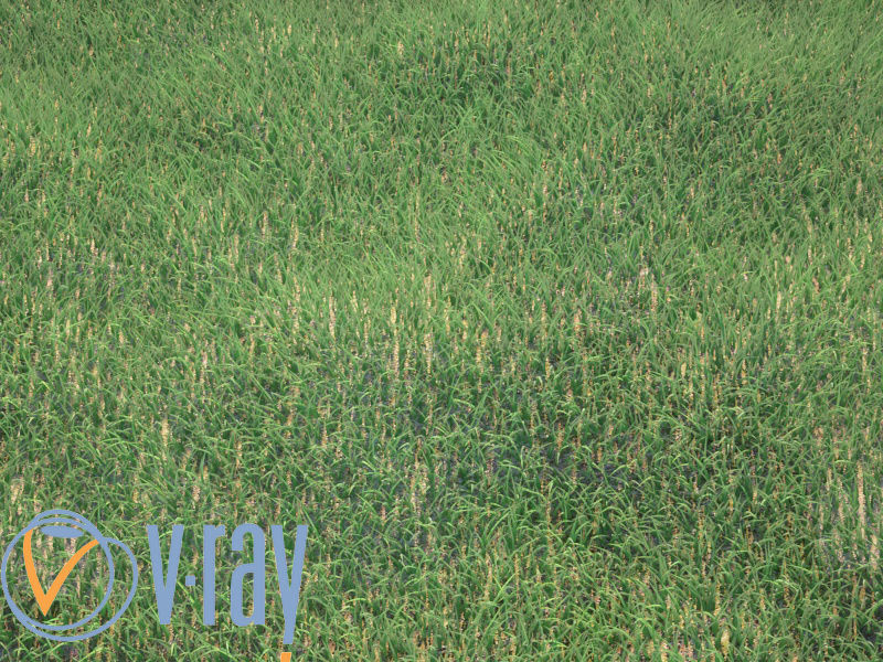 Realistic Grass rock in 3D model_2