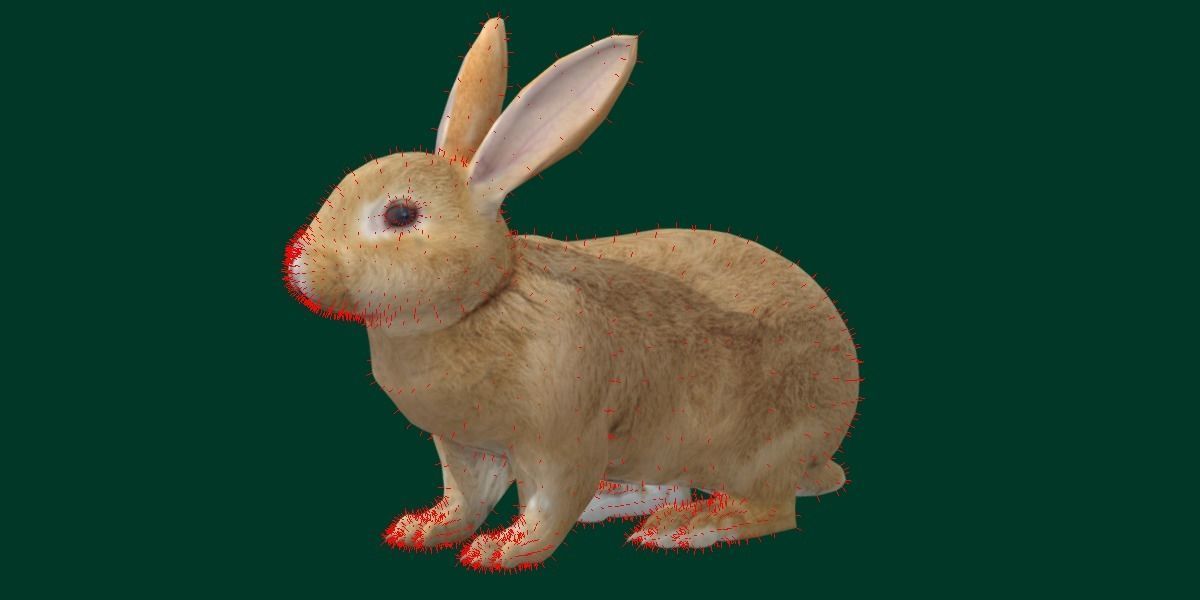Brown Bunny Rabbit Low-poly 3D model_11