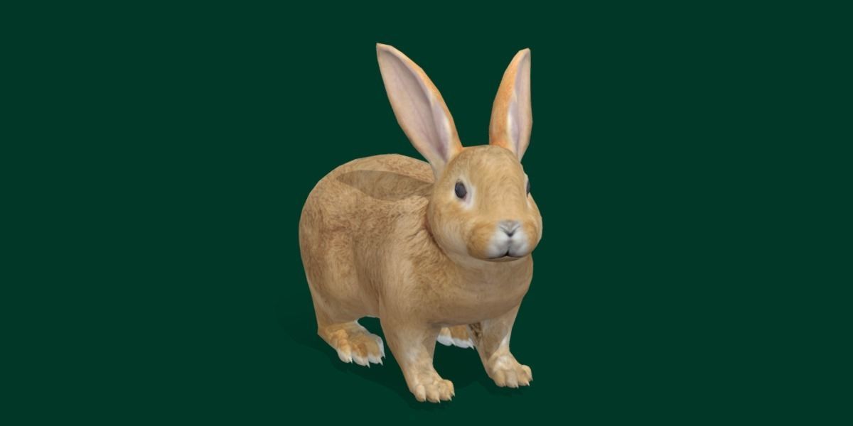 Brown Bunny Rabbit Low-poly 3D model_14