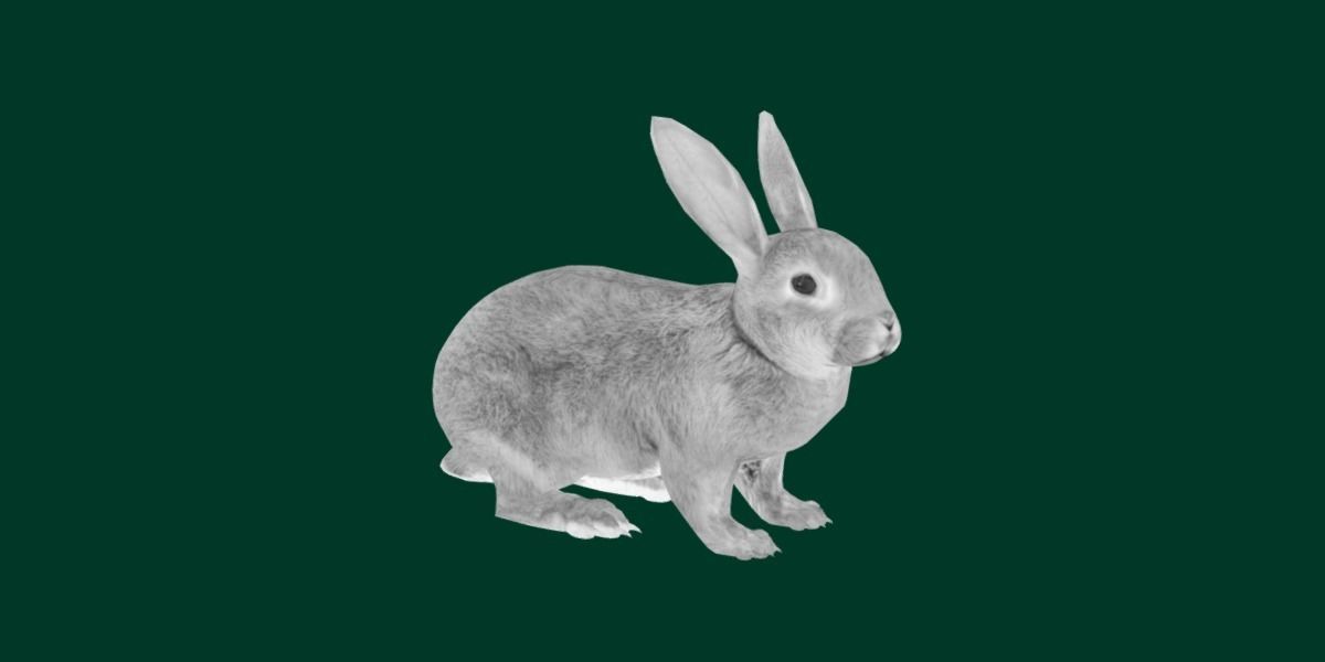 Brown Bunny Rabbit Low-poly 3D model_10