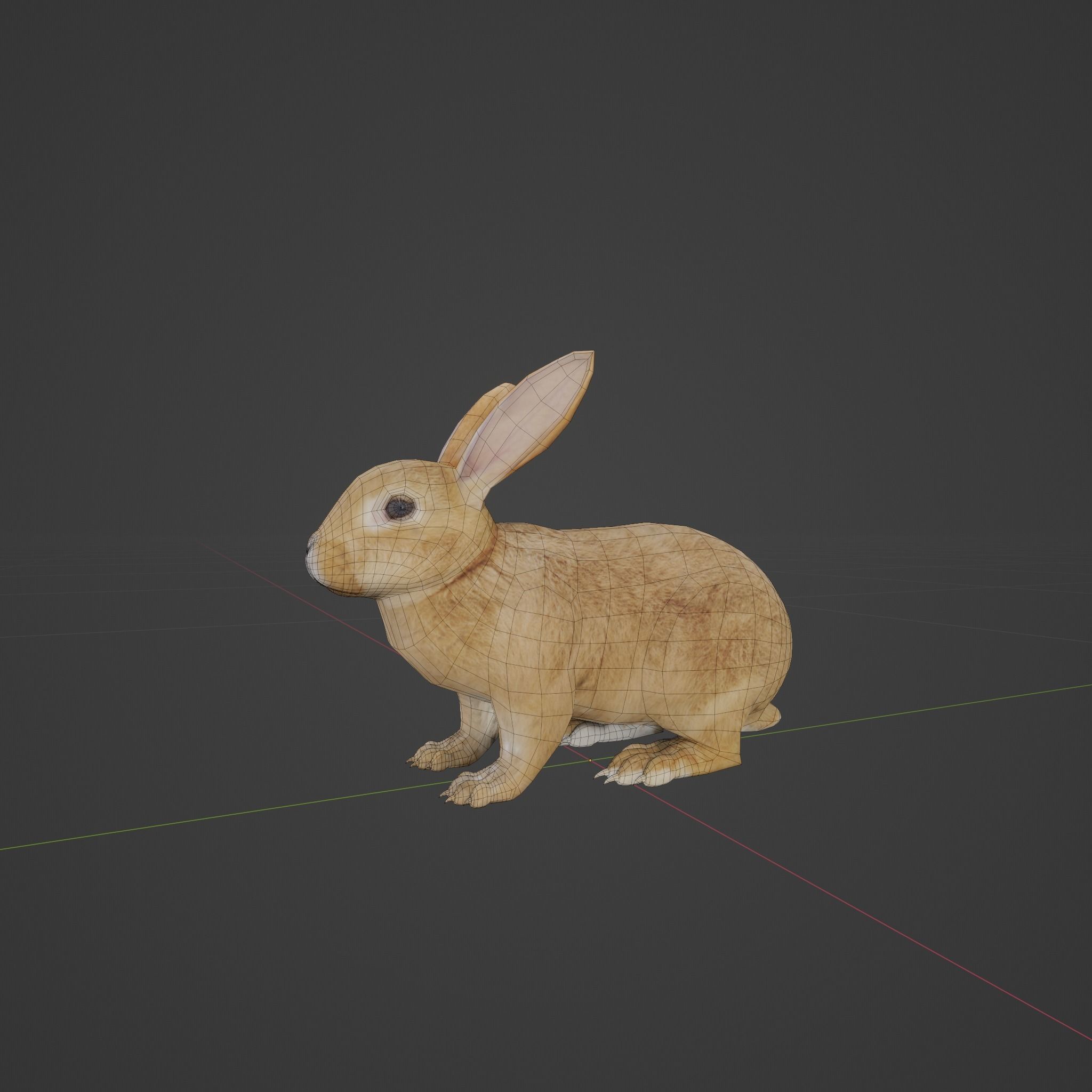 Brown Bunny Rabbit Low-poly 3D model_2