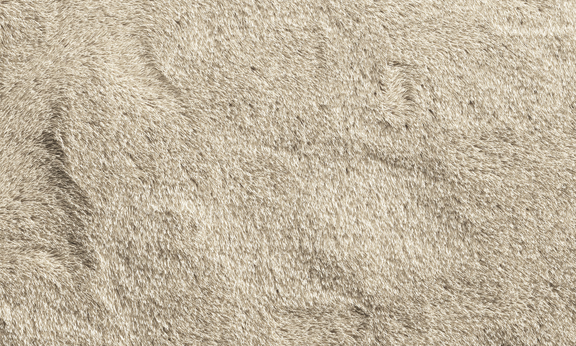 nuLoom Shaggy Area Rug 4 colors 3D model_10