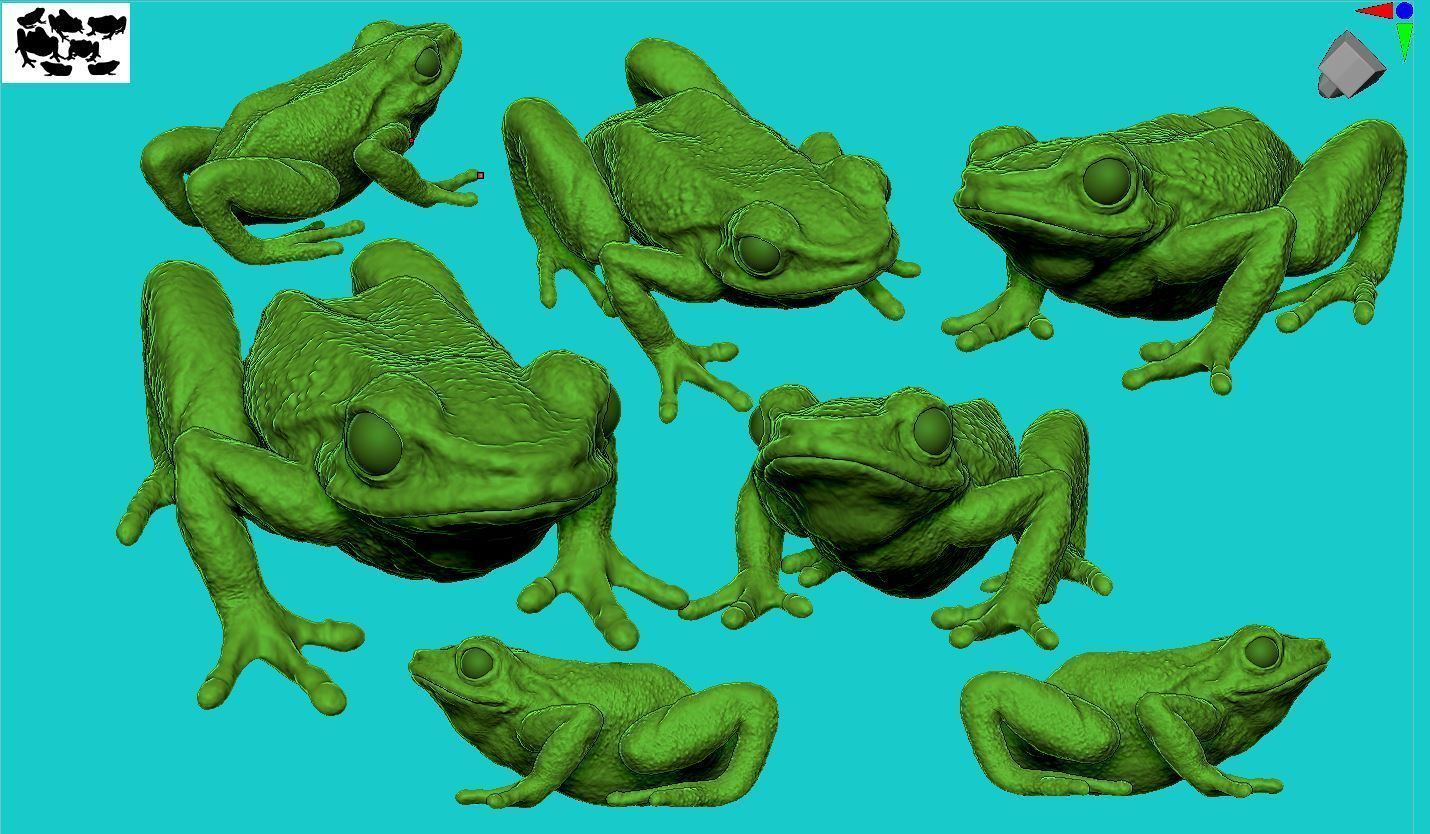 Frog 3d 3D print model_4