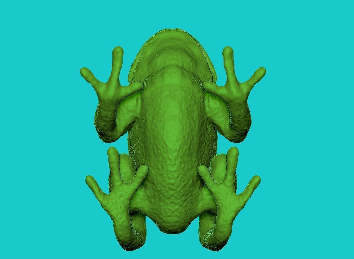 Frog 3d 3D print model_7