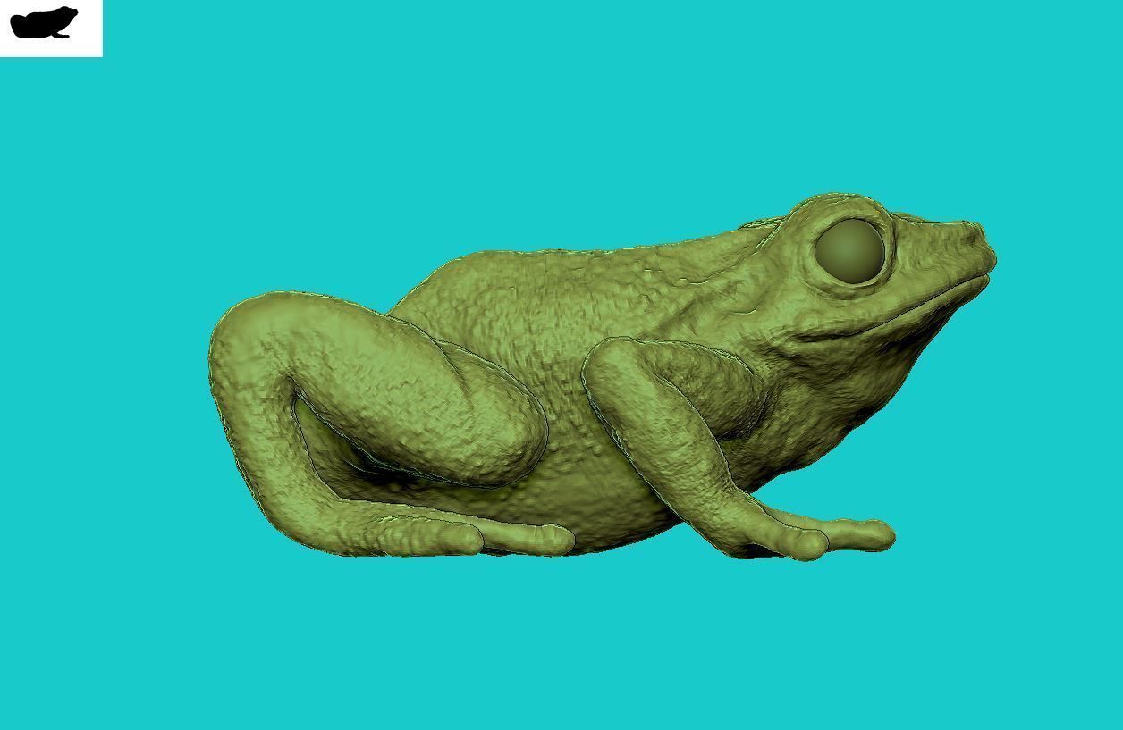 Frog 3d 3D print model_3