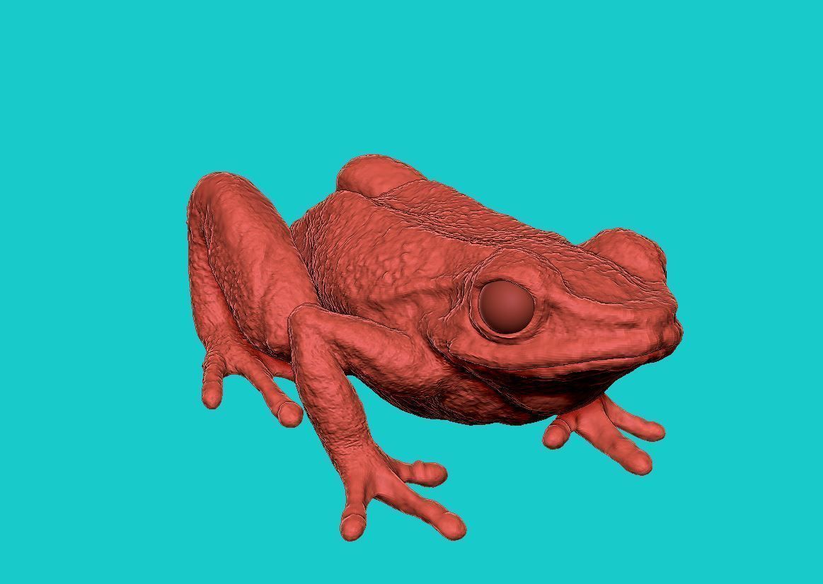 Frog 3d 3D print model_2