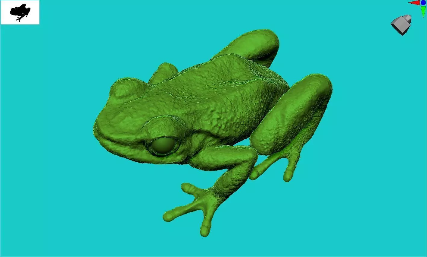Frog 3d 3D print model_0