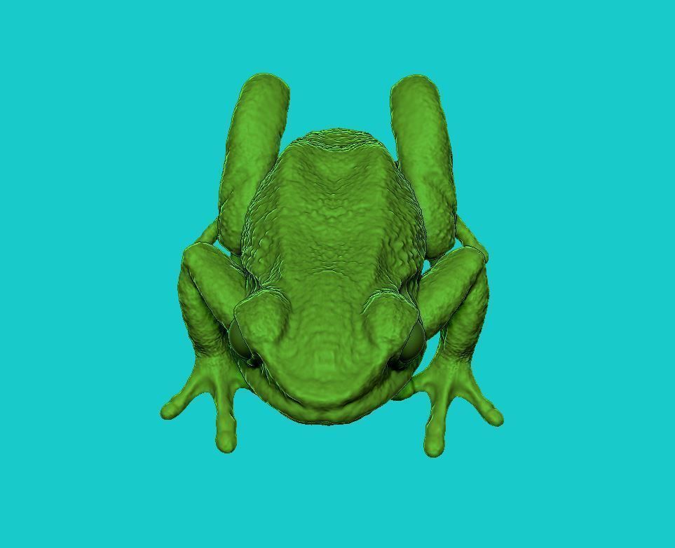 Frog 3d 3D print model_5