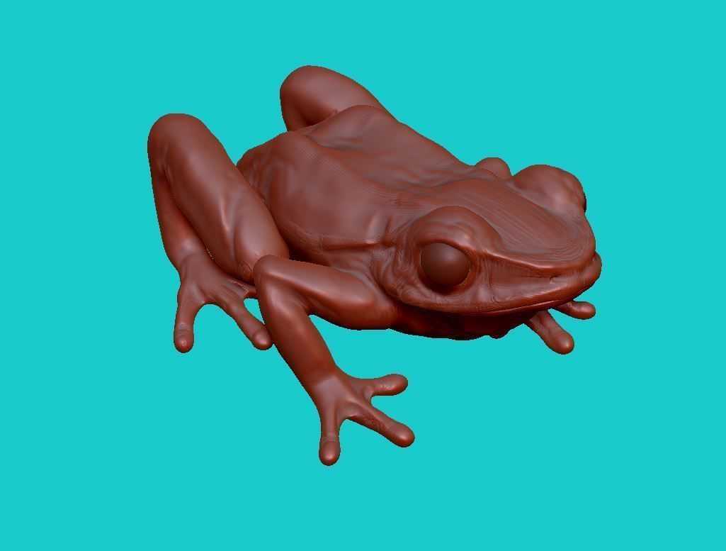 Frog 3d 3D print model_1