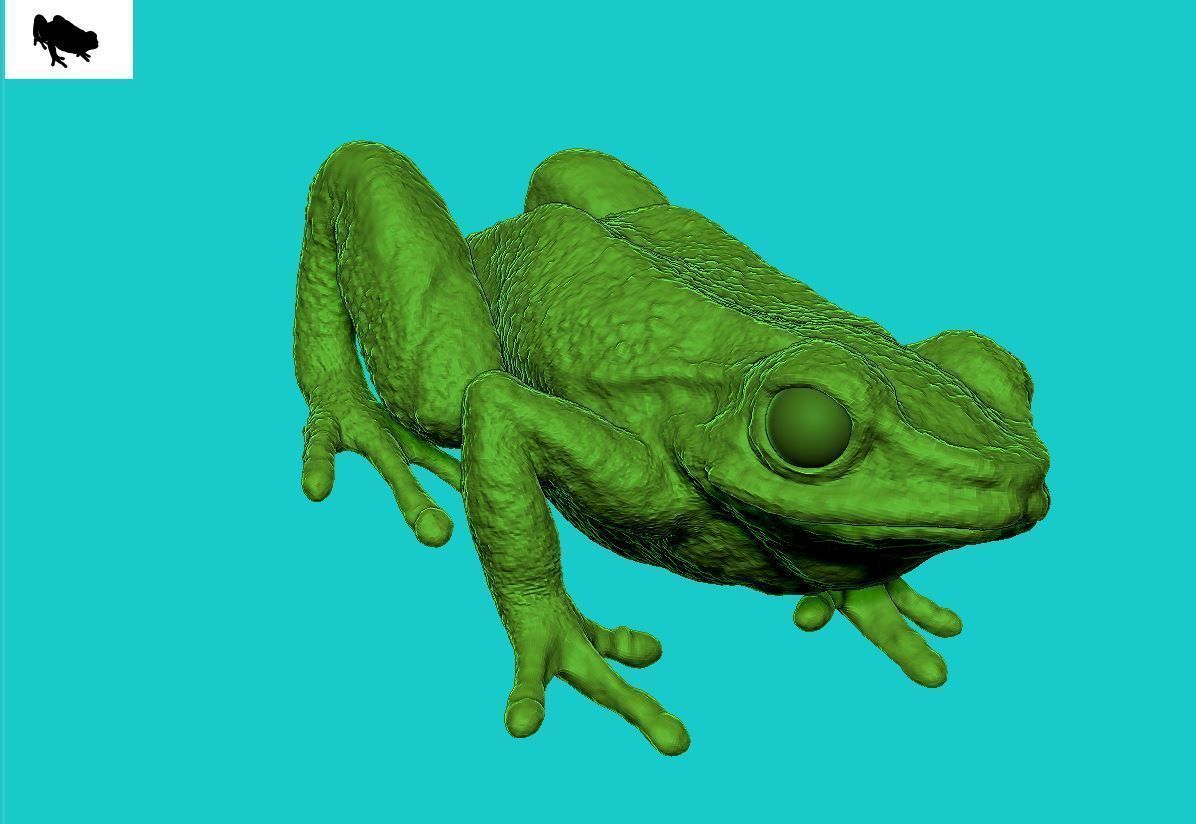Frog 3d 3D print model_6