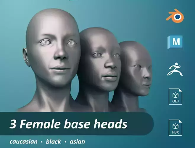 3 Female base heads Low-poly 3D model 3 Female base heads Low-poly 3D model
