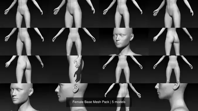 Female Base Mesh Pack 01 3D Model Collection Female Base Mesh Pack 01 3D Model Collection