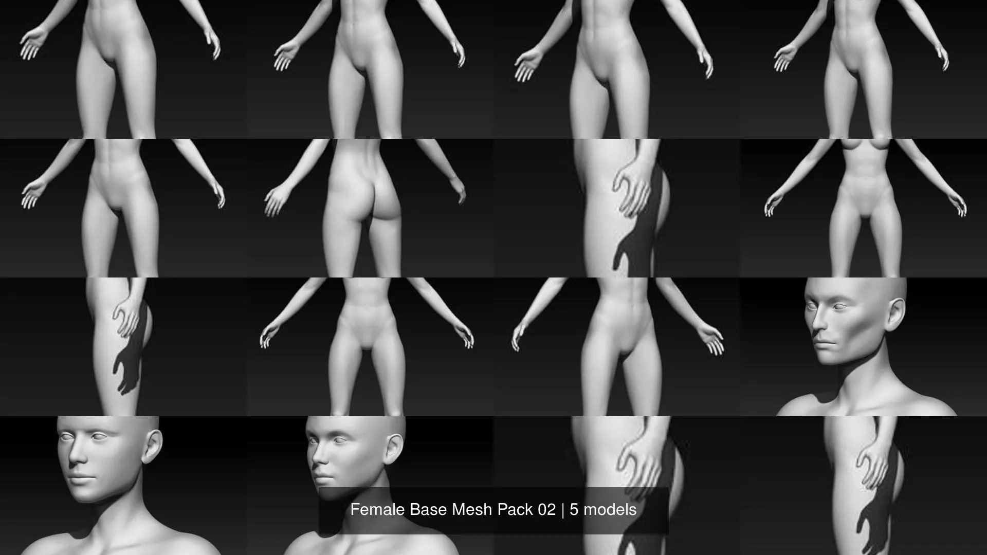Female Base Mesh Pack 02 3D Model Collection_0