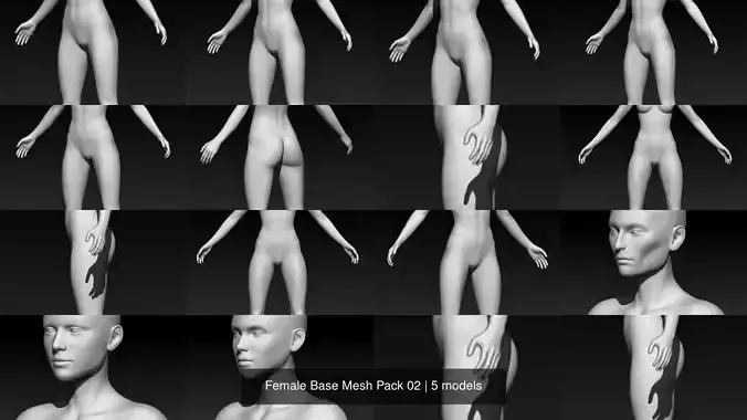 Female Base Mesh Pack 02 3D Model Collection Female Base Mesh Pack 02 3D Model Collection