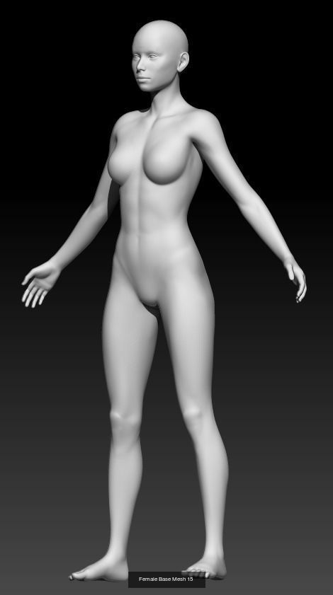 Female Base Mesh Pack 03 3D Model Collection_5