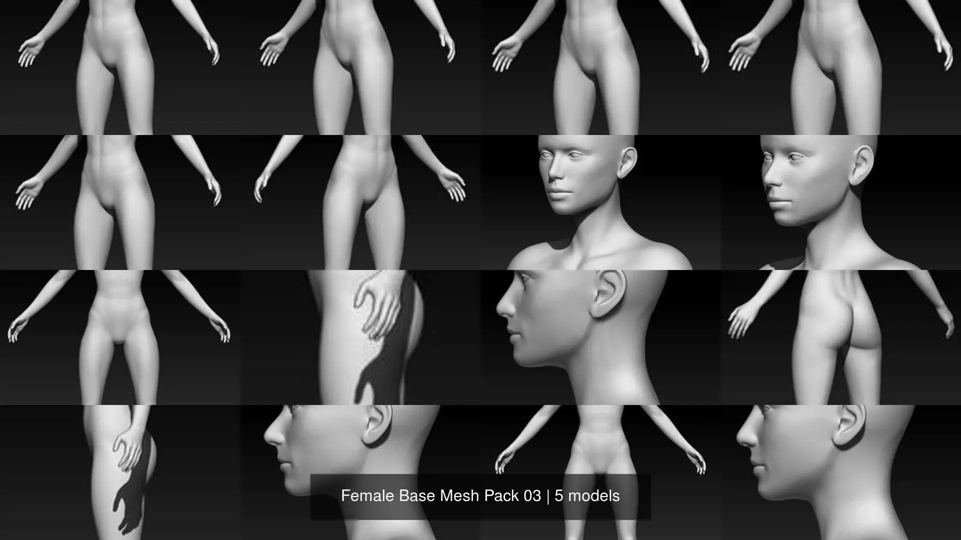 Female Base Mesh Pack 03 3D Model Collection_0