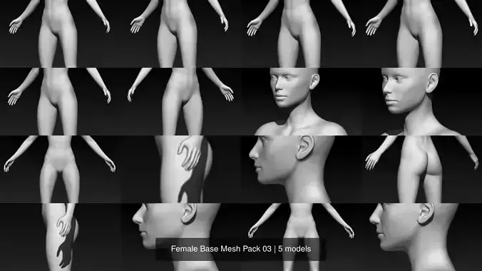 Female Base Mesh Pack 03 3D Model Collection Female Base Mesh Pack 03 3D Model Collection