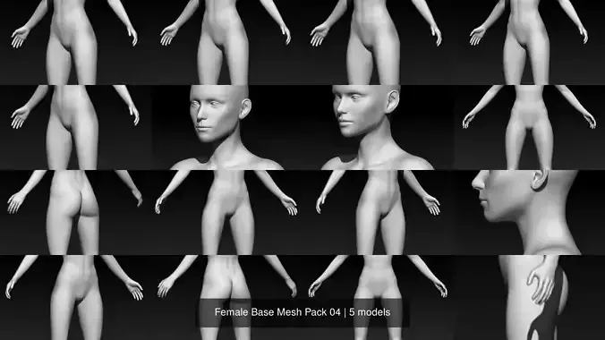 Female Base Mesh Pack 04 3D Model Collection Female Base Mesh Pack 04 3D Model Collection