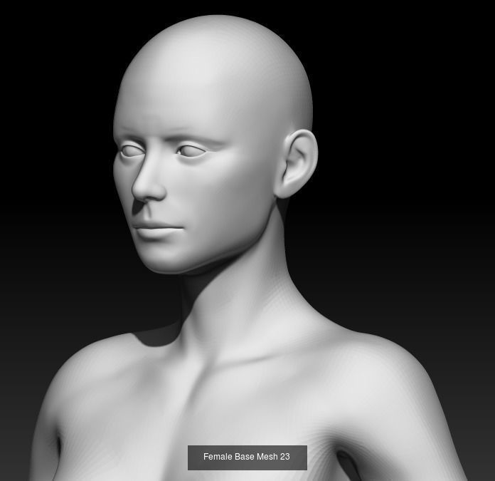 Female Base Mesh Pack 05 3D Model Collection_3