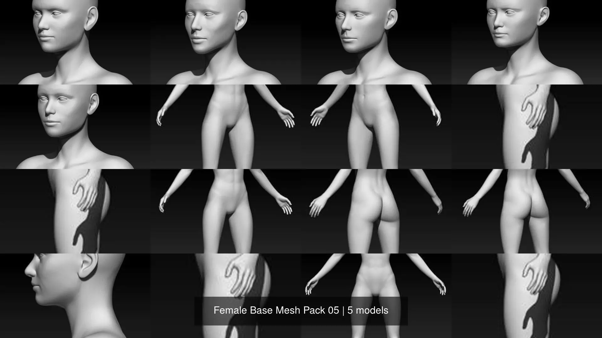 Female Base Mesh Pack 05 3D Model Collection_0