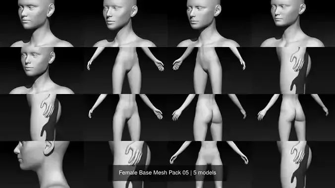 Female Base Mesh Pack 05 3D Model Collection Female Base Mesh Pack 05 3D Model Collection