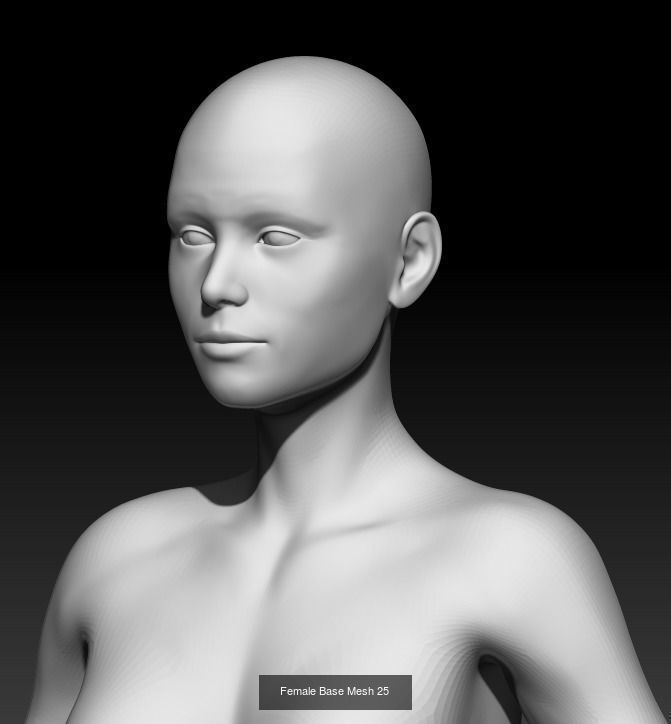 Female Base Mesh Pack 05 3D Model Collection_5