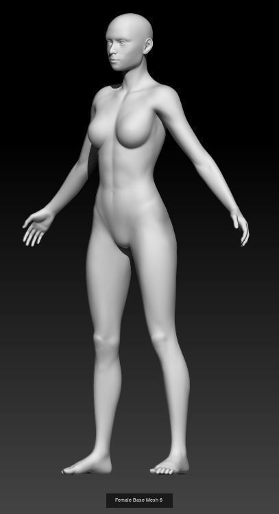Female Base Mesh Pack 06 3D Model Collection_6