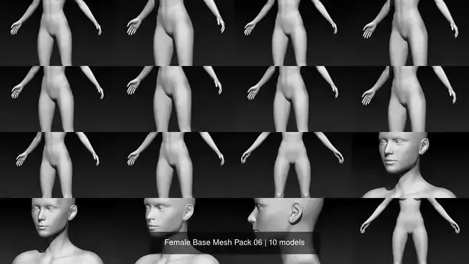 Female Base Mesh Pack 06 3D Model Collection