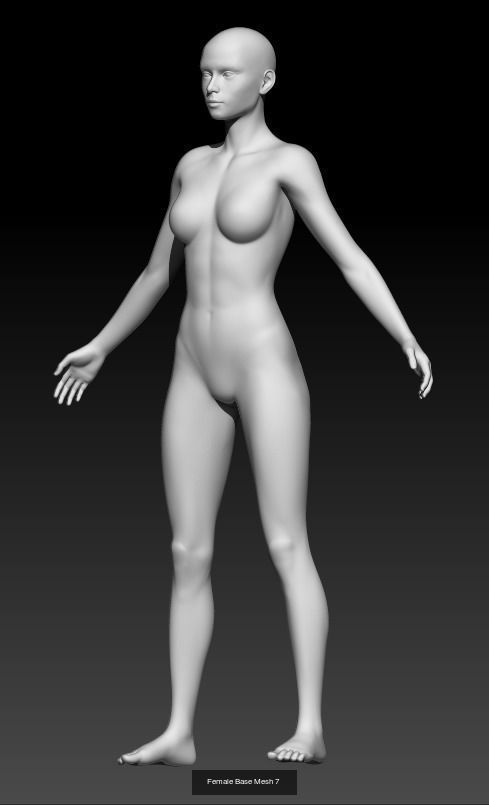 Female Base Mesh Pack 06 3D Model Collection_7