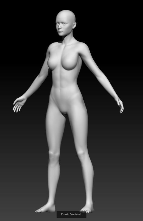 Female Base Mesh Pack 06 3D Model Collection_1