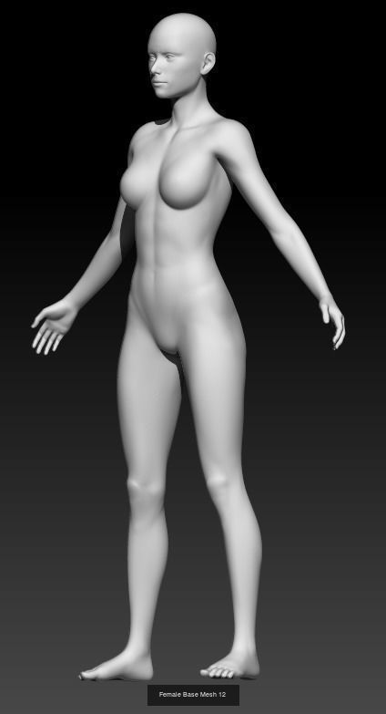 Female Base Mesh Pack 07 3D Model Collection_2