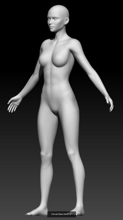 Female Base Mesh Pack 07 3D Model Collection_7
