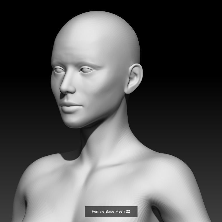 Female Base Mesh Pack 25 Models 3D Model Collection_24