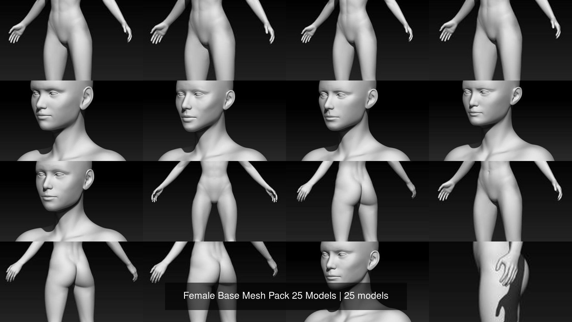 Female Base Mesh Pack 25 Models 3D Model Collection_2