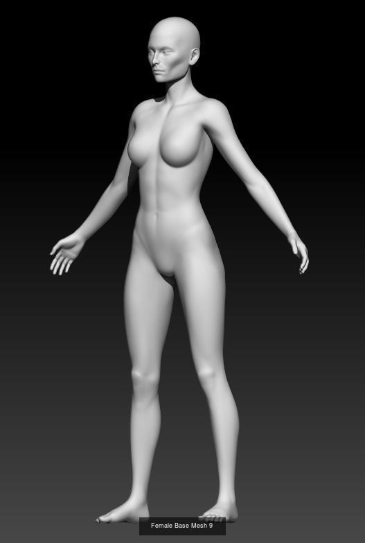 Female Base Mesh Pack 25 Models 3D Model Collection_11