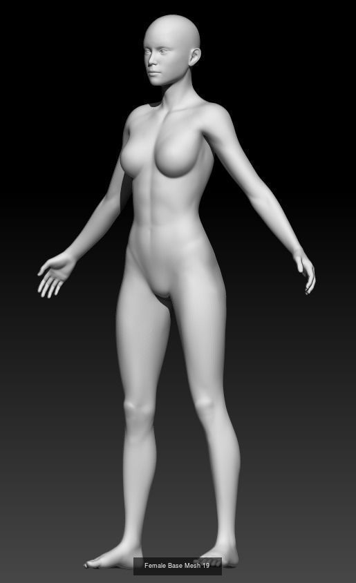 Female Base Mesh Pack 25 Models 3D Model Collection_21