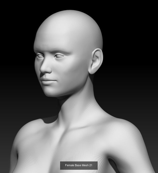 Female Base Mesh Pack 25 Models 3D Model Collection_23