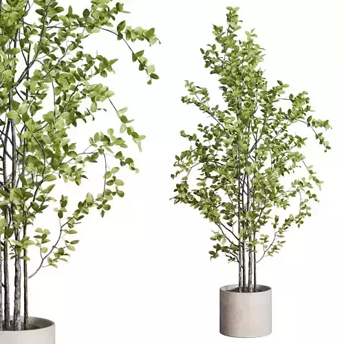 branch Tree in a concrete dirty vase set indoor plant 392