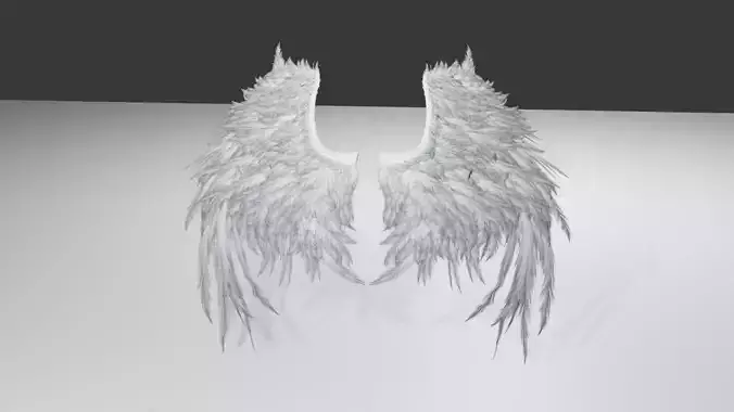 Realistic wings rigged